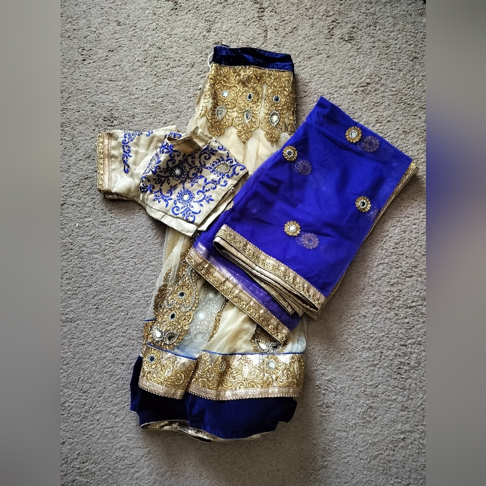 Indian Bollywood Lehenga Choli Chaniya Choli Heavy Mirror Work Wedding Navratri